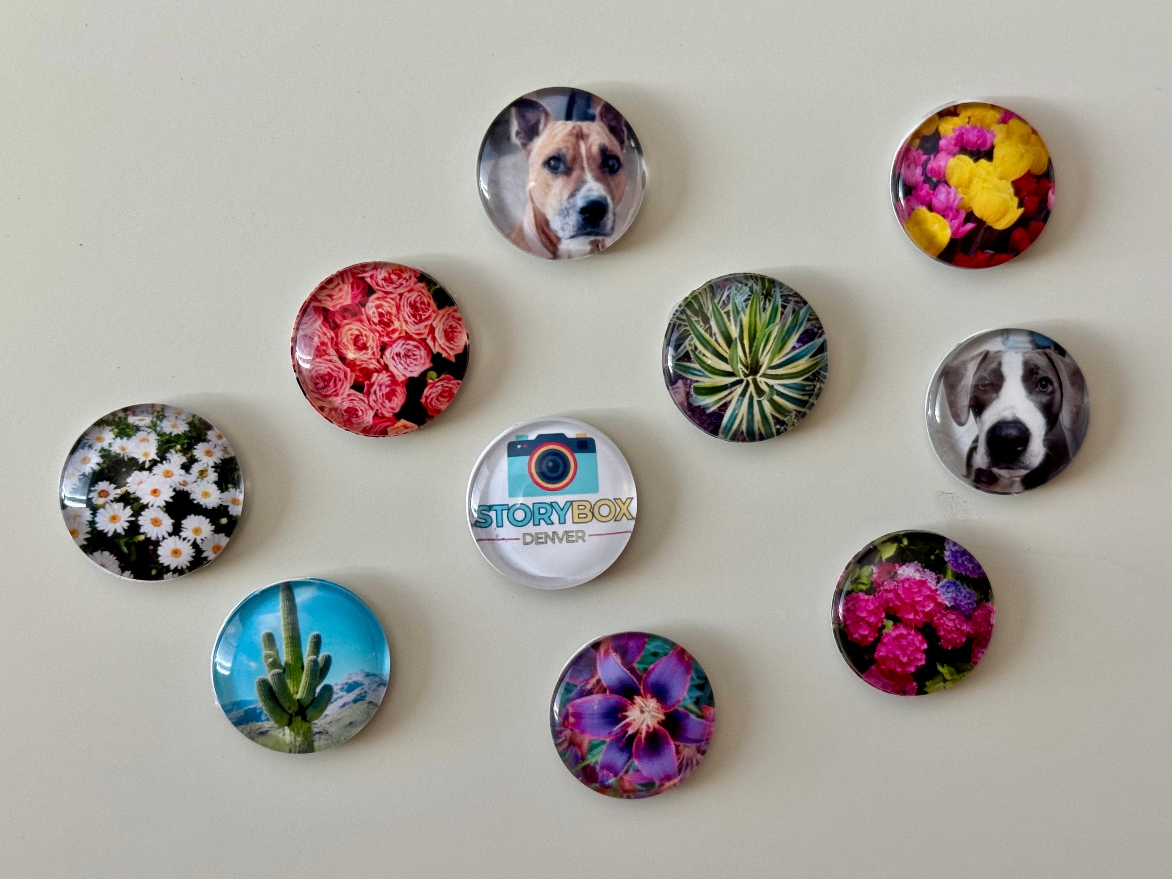Glass Cabochen Magnets