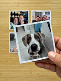 Custom Photo Magnets - Flexible Vinyl